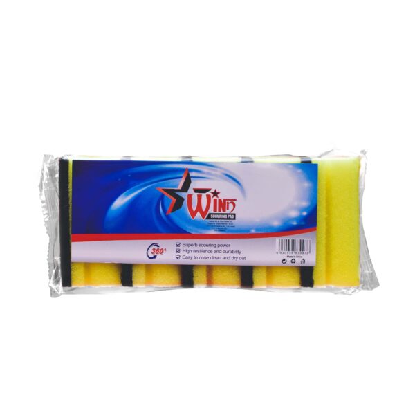 WINN SCOURING PAD 10S