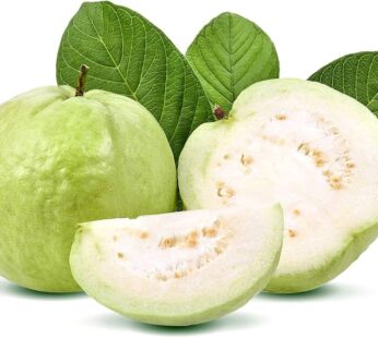 GUAVA TAIWAN KG