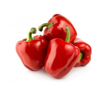 CAPSICUM RED IMPORTED KG