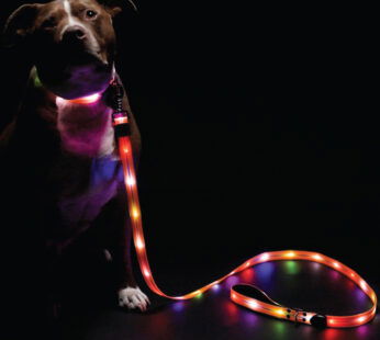 PET LEASH WITH LIGHT –