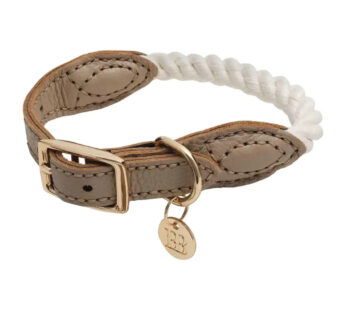PET COLLAR & ROPE – S