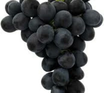 ADORA BLACK SEEDLESS GLOBE GRAPES