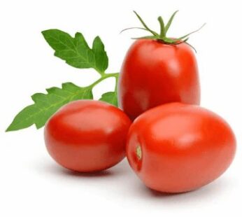 TOMATOES ROMA KG