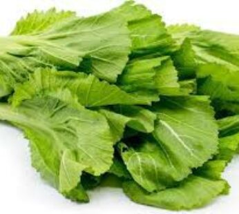 CABBAGE MUSTARD BUNDLE