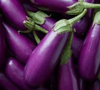 EGG PLANT KG