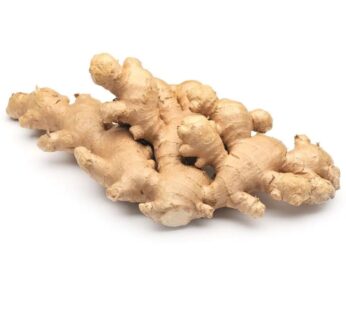 GINGER LOCAL KG